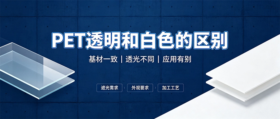 PET透明和白色的区别｜PET板材怎么选性能差异对比