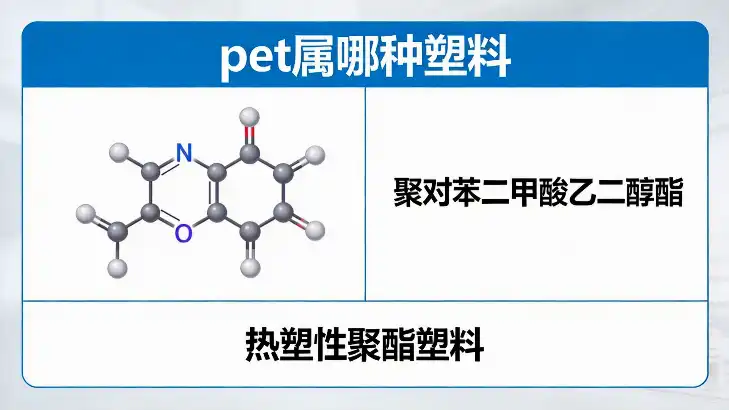 pet属哪种塑料