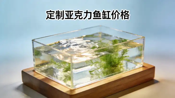 定制亚克力鱼缸价格