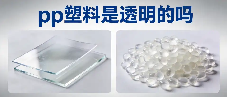 pp塑料是透明的吗-选型辨别与避坑指南