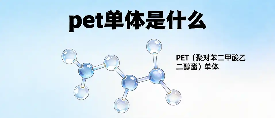 pet单体是什么