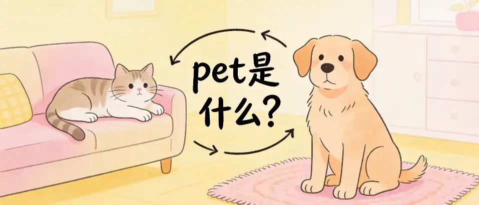 PET是什么?｜PET板材选型攻略与常见误区